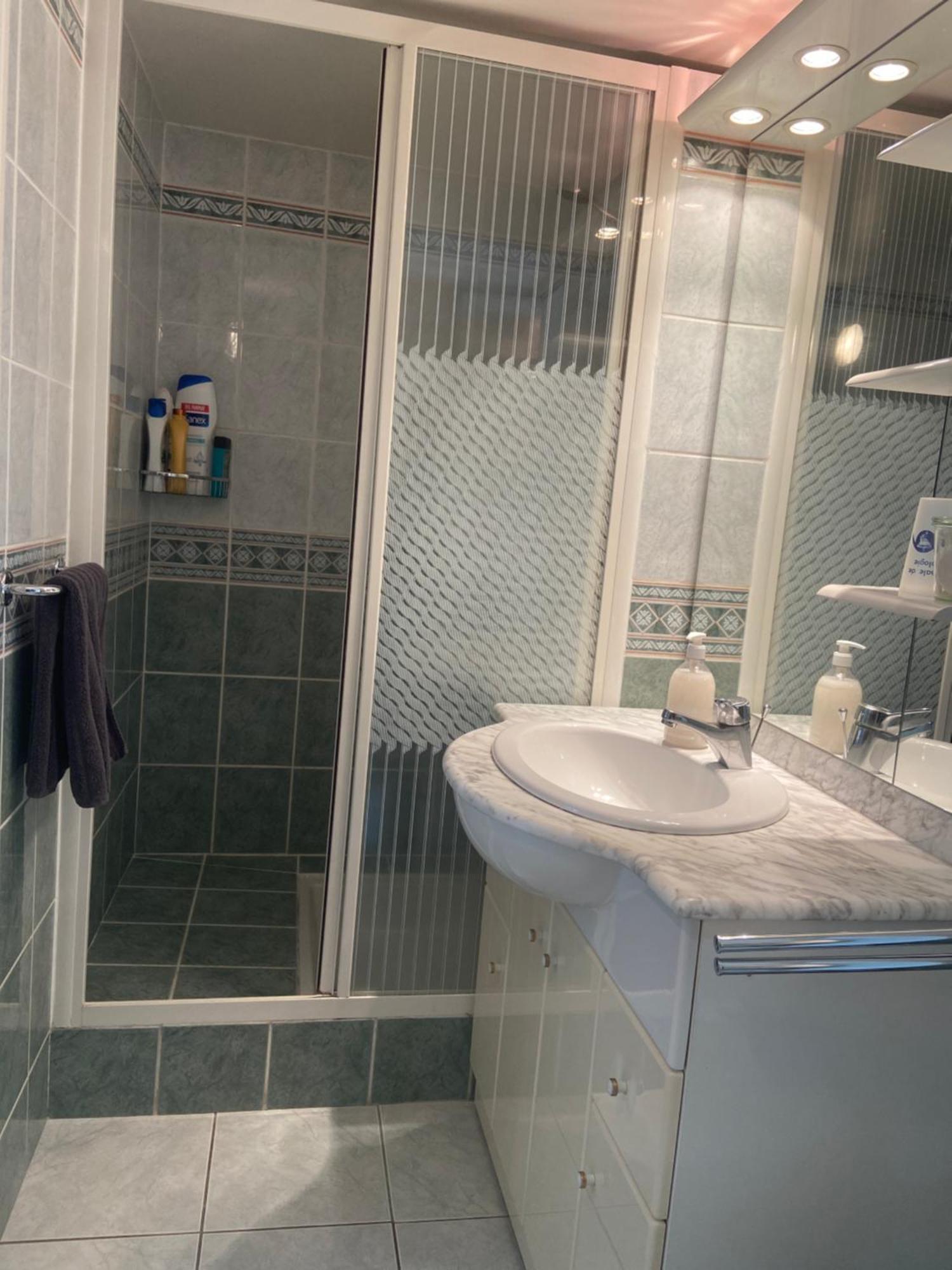 Sweet Home - 55M2 Appartment, Garden, Swimming Pool, Parking Toulouse Dış mekan fotoğraf